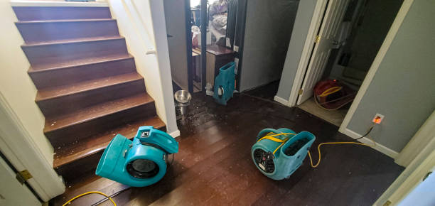 Best Water damage restoration near me  in Rmel Valley Village, CA
