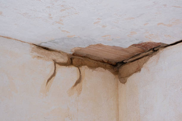 Best Commercial water damage restoration  in Rmel Valley Village, CA