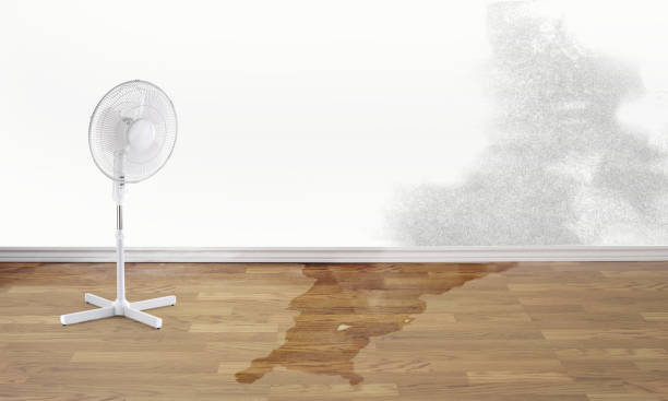 Best Residential water damage restoration  in Rmel Valley Village, CA