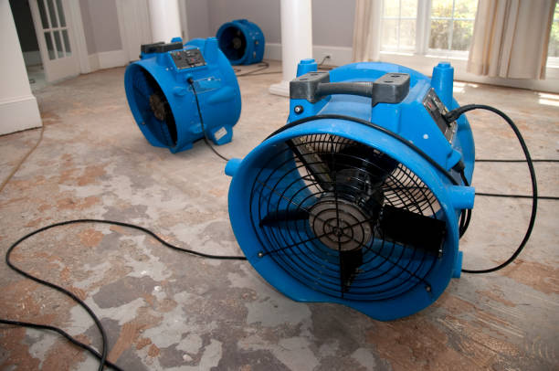 Best Professional water damage repair  in Rmel Valley Village, CA