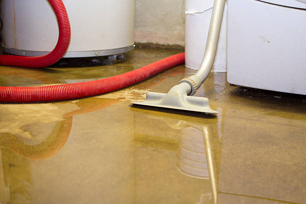 Best Fire Damage Restoration  in Rmel Valley Village, CA
