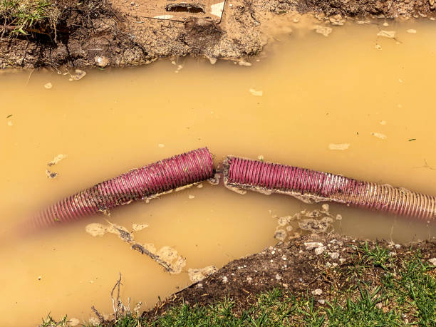  Rmel Valley Village, CA Water damage restoration Pros